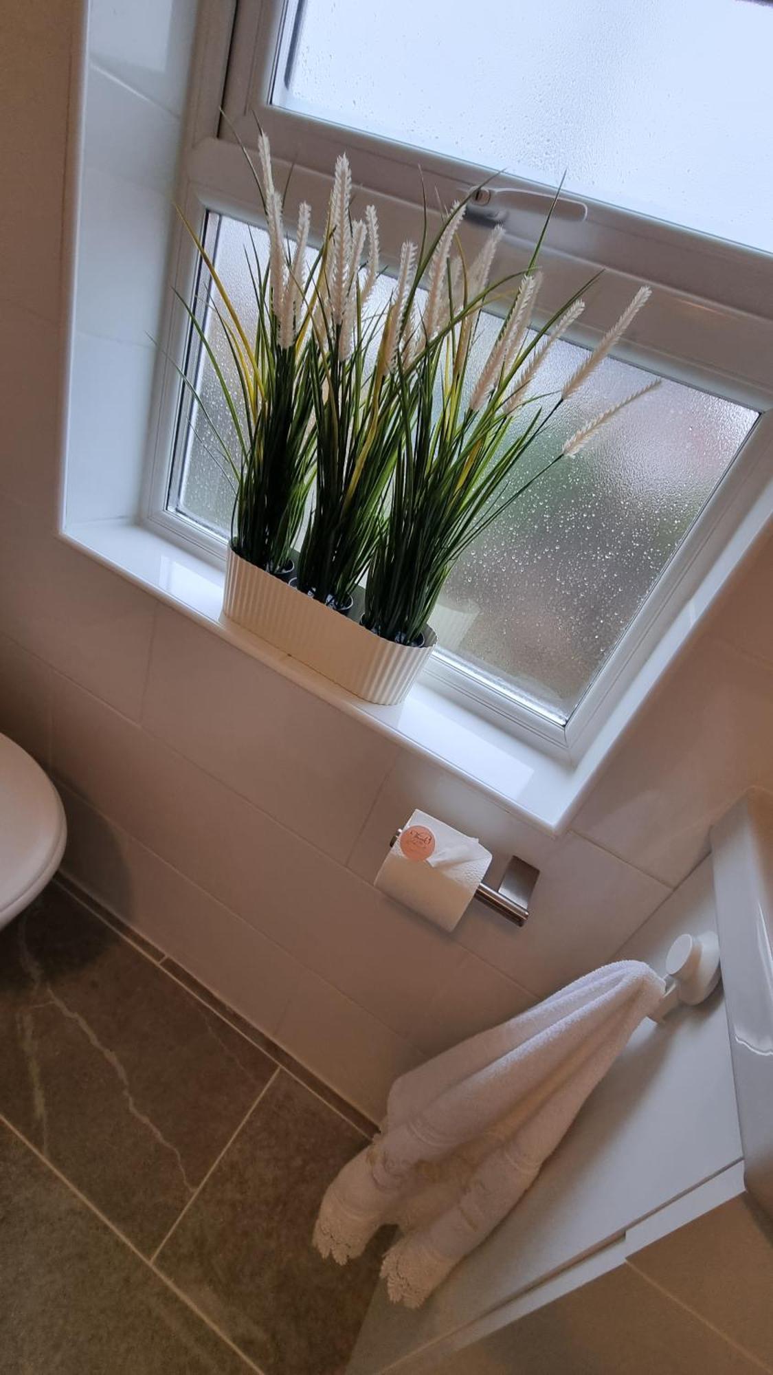 City Of Chester Award Winning Cottage -Pixie Terrace Chester Eksteriør bilde